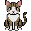 Cat sprite