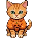 Pumpkin Kitten 🐾 sprite
