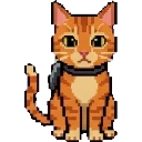 Catt sprite