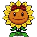 Solar Flare sprite