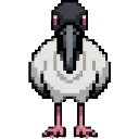 Ibis L sprite